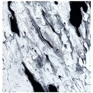 Black White and Silver Abstract Design 12 x 12 Inches Canvas Painting